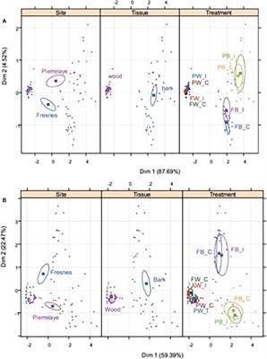 Mycorrhizal inoculation effects on growth and the mycobiome of poplar on two phytomanaged sites after 7-year-short rotation coppicing